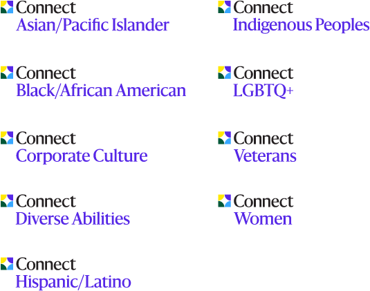 Grid of icons labeled “Connect” representing various communities: Asian/Pacific Islander, Indigenous Peoples, Black/African American, LGBTQ+, Corporate Culture, Veterans, Diverse Abilities, Women, and Hispanic/Latino.
