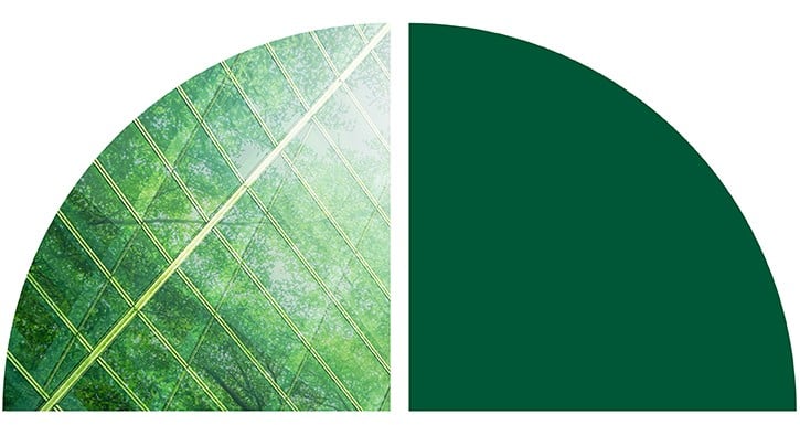Stylized green leaf with visible veins and a curved translucent overlay.