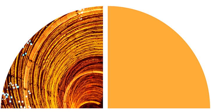 Abstract orange and gold spiral pattern resembling layered circular rings or wood grain paired with a solid vertical orange block.