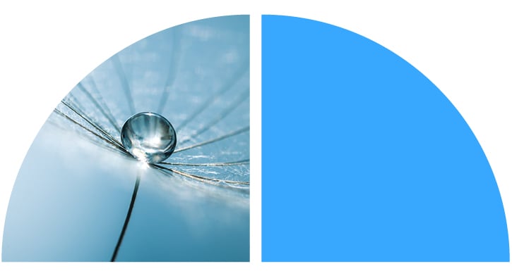 A close-up of a water droplet on a plant leaf, next to a blue quarter circle. 