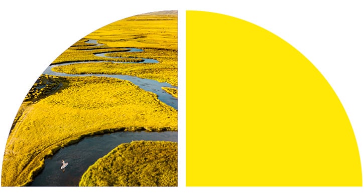 A yellow and black image of a river.