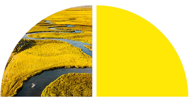 A yellow and black image of a river. A yellow and black image of a river.