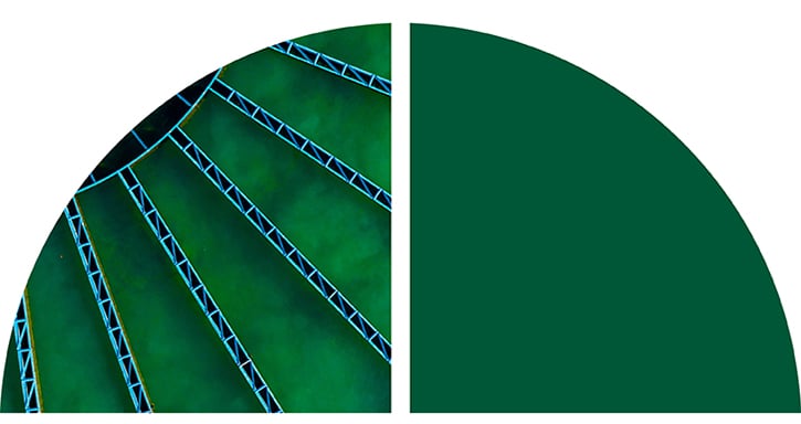 A semi-circle containing diagonal blue structural lines over a textured green background.