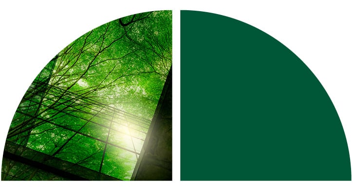 Green trees. Green trees.