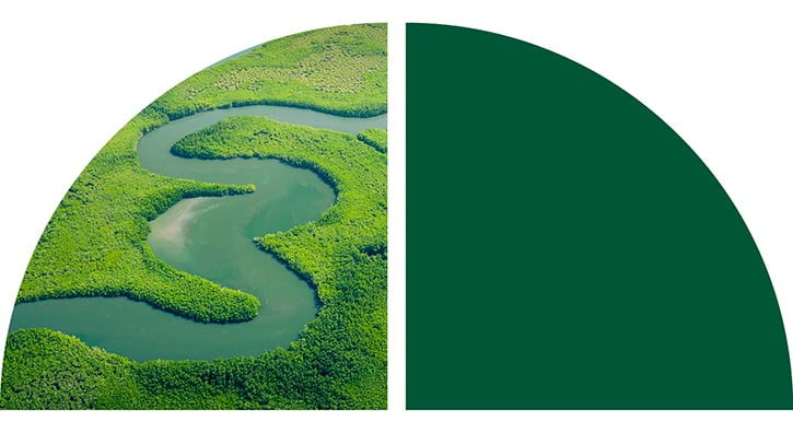 Aerial view of a winding river through lush green.