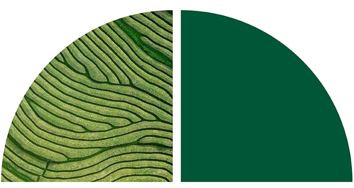 An aerial view of green terraced fields with organic, wavy lines. An aerial view of green terraced fields with organic, wavy lines.