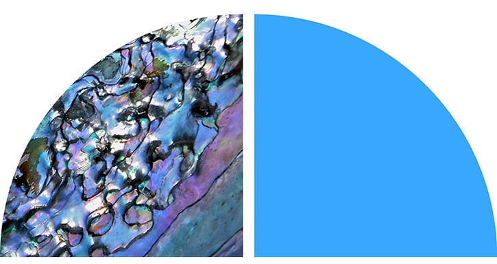 Image showing two semicircles side by side. The left semicircle features an abstract, colorful pattern with shades of blue, purple, and green. The right semicircle is solid light blue. Image showing two semicircles side by side. The left semicircle features an abstract, colorful pattern with shades of blue, purple, and green. The right semicircle is solid light blue.