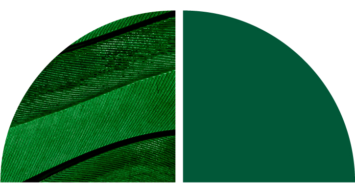 Green and black textured background. Green and black textured background.