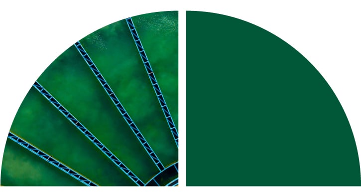 Blue long tracks fanned out with a green background. Blue long tracks fanned out with a green background.