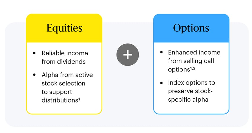 The left side highlights equities benefits: reliable income from dividends and alpha from active stock selection. The right side highlights options benefits: enhanced income from selling call options and using index options to preserve stock-specific alpha.