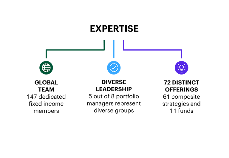 Graphic titled 'EXPERTISE' featuring three sections: 'GLOBAL TEAM' with a green globe icon and text '150 dedicated fixed income members'; 'DIVERSE LEADERSHIP' with a blue shield icon and text '5 out of 8 portfolio managers represent diverse groups'; and '82 DISTINCT OFFERINGS' with a purple lightbulb icon and text '61 composite strategies and 21 funds.