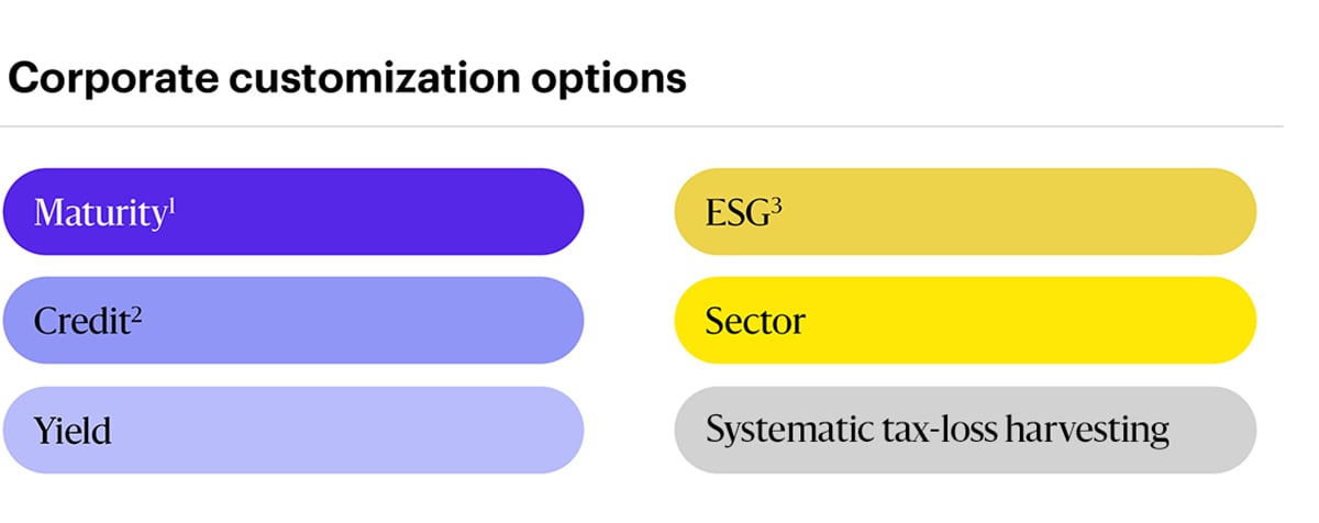 Corporate customization options: Maturity, ESG, Credit, Sector, Yield, Tax-loss harvesting