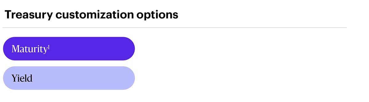 Treasury customization options: Maturity, Yield.