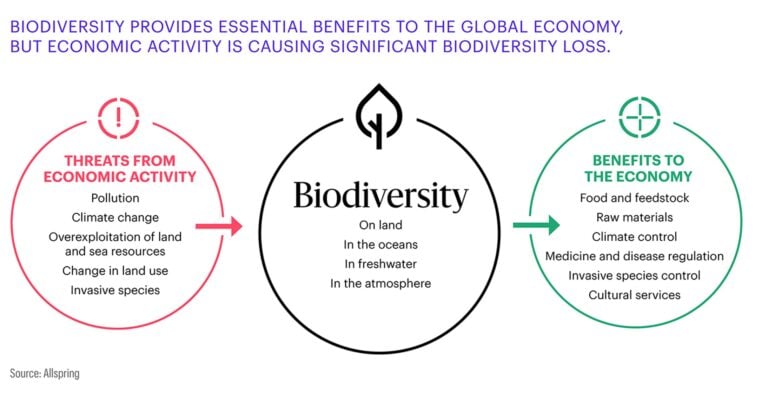 Biodiversity impact 
